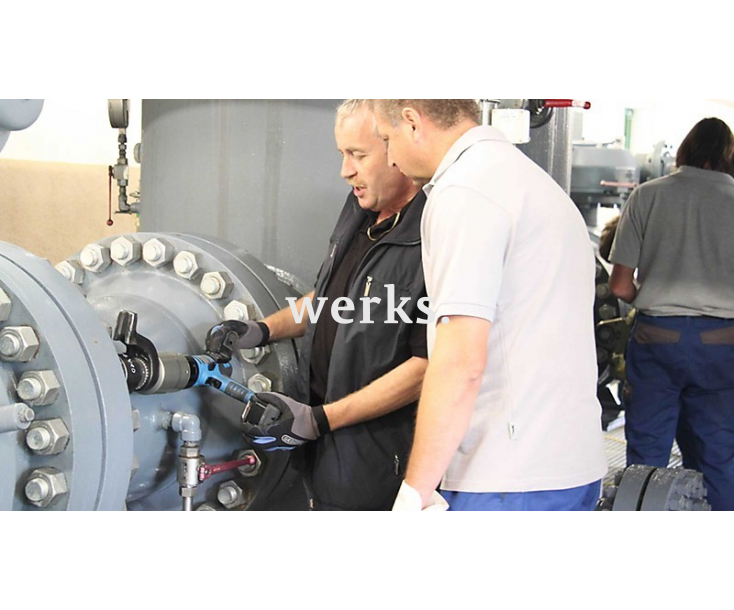 Аккумуляторный динамометрический гайковерт, серия LDA, квадрат 1 дюйм, 9 об/мин, Losomat LDA - 16ST