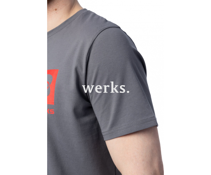 Футболка Brodeks KS705 серый (L)