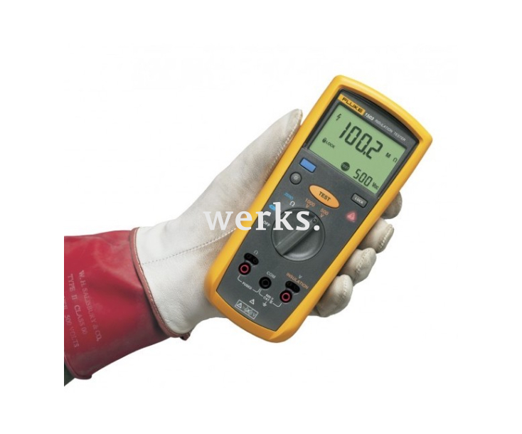 Мегаомметр цифровой Fluke 1503 2427883
