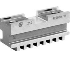 Кулачок SP 250 Bison 398535850500