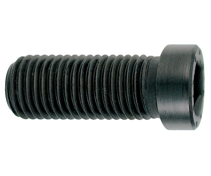 Винт с шестигранной головкой 7818124/M10X25/DIN912-12.9 Ceratizit 70950180