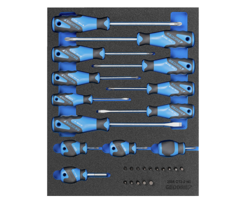 Набор отверток в CT ложементе 2/4 Gedore 2016311