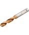 Сверло Sandvik R840-0610-30-W1A 1220