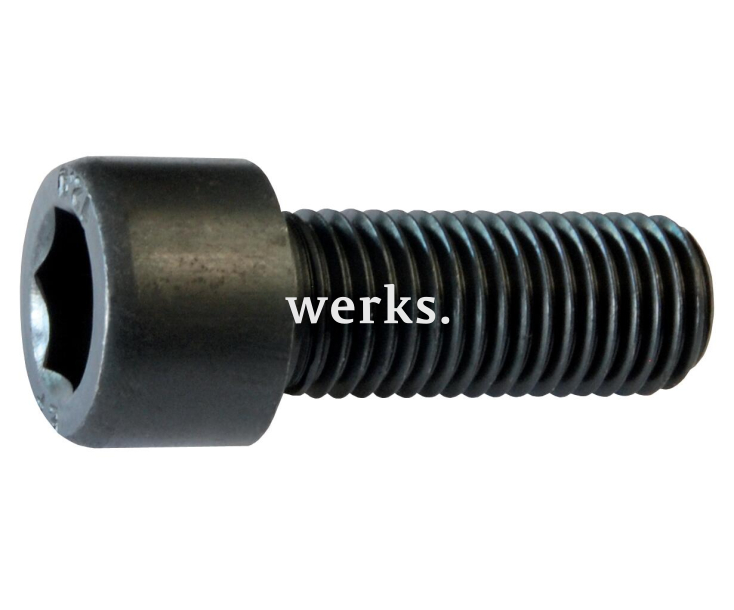 Крепежный винт, размер 250, шт. Röhm 200183